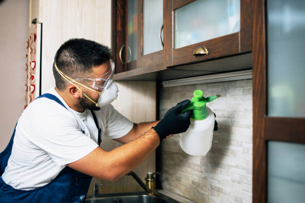Best Pest Control Near Me in Nassau Bay, TX