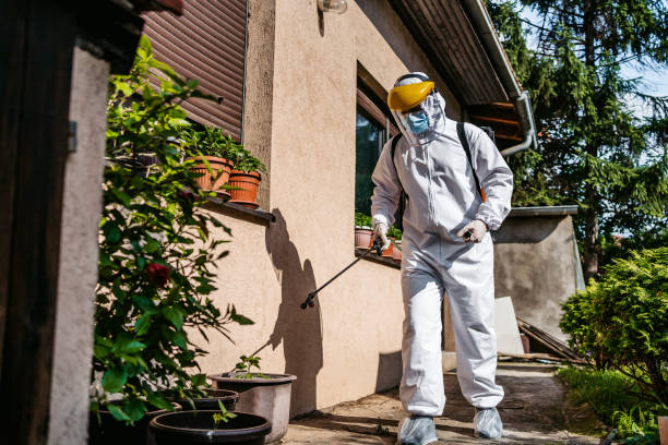 Best Wasp Removal Services  in Nassau Bay, TX